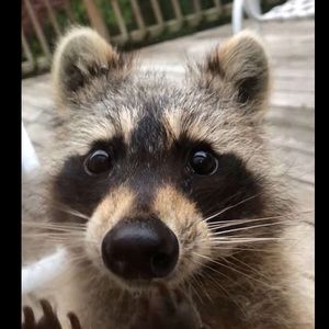 Meet your Posher, Kaylee